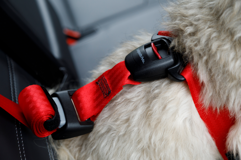ZOLUX TRAVEL SAFE Dog Harness